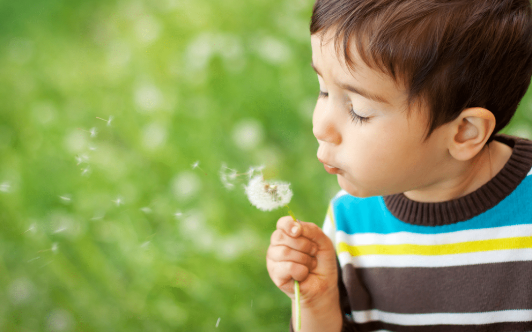 Kid blowing dandelion