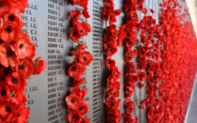 Pay Tribute to the Fallen on Poppy Day