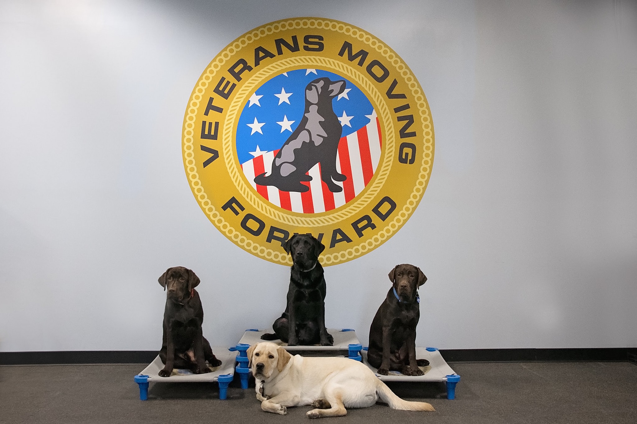 service-dog-facts-under-the-ada-state-and-local-governments